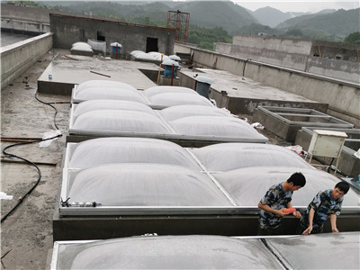 2025新澳门资料免费大全